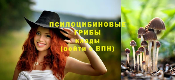 синтетический гашиш Горняк