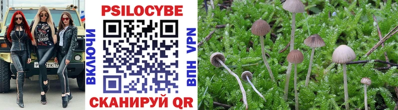 Купить закладки  Кубинка  Галлюциногенные грибы прущие грибы 