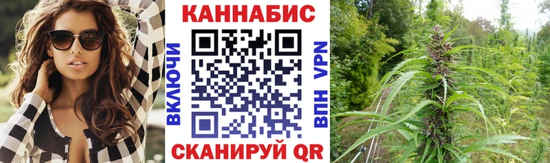 Купить закладки  Кубинка  Конопля MAZAR 